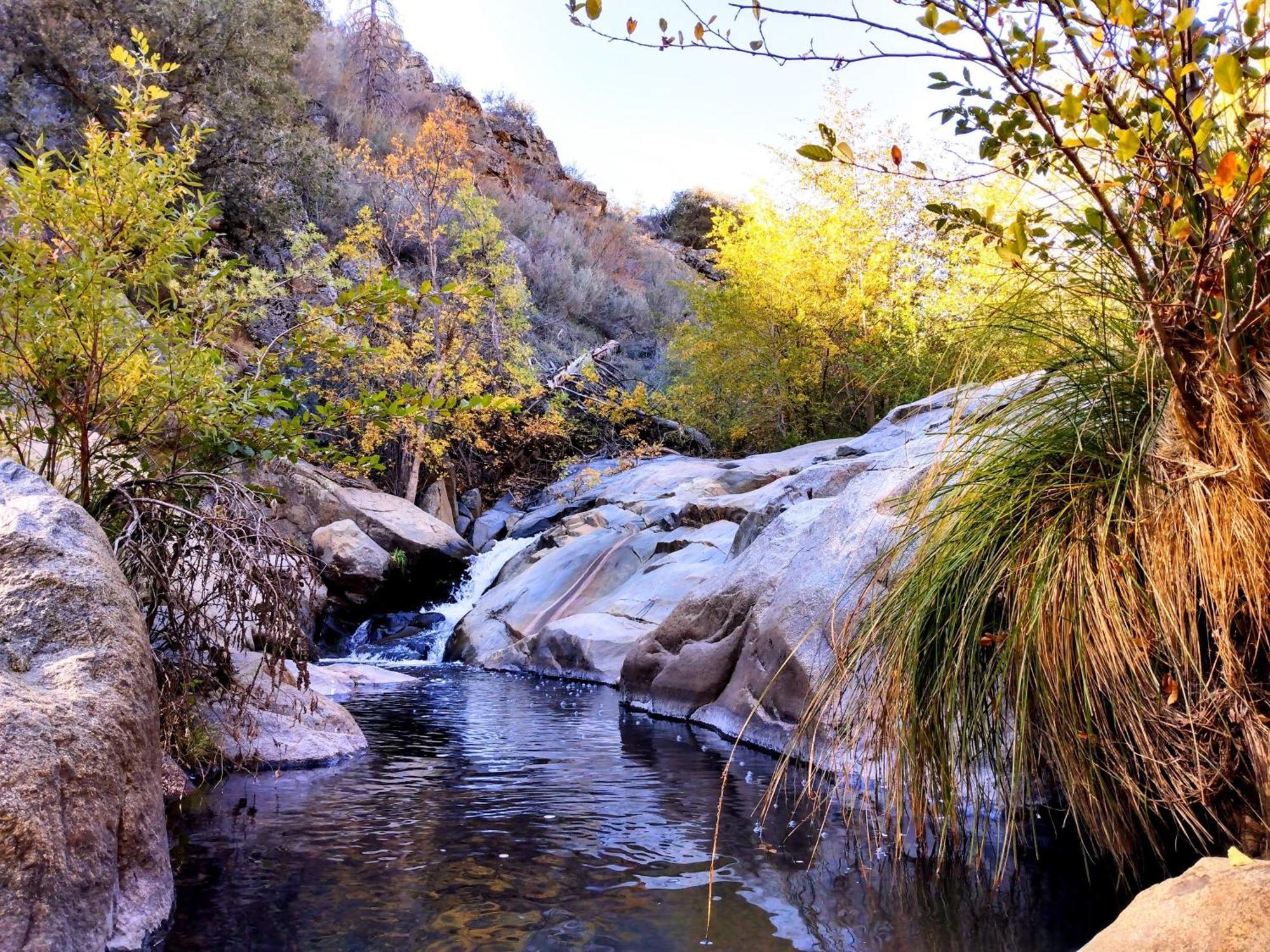 Quiet Mind Lodge, Spa & Retreat Sequoias Kernville Esterno foto